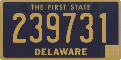 DE license plate 239731