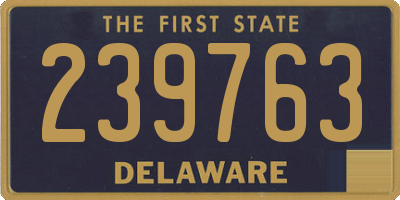 DE license plate 239763