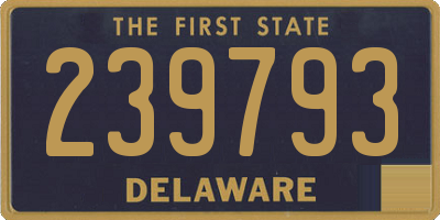 DE license plate 239793