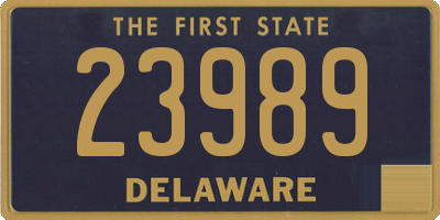 DE license plate 23989