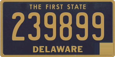 DE license plate 239899