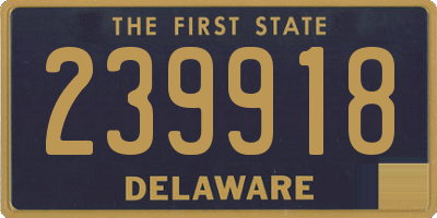 DE license plate 239918