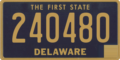 DE license plate 240480