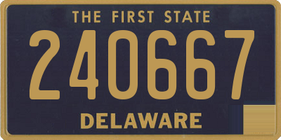 DE license plate 240667