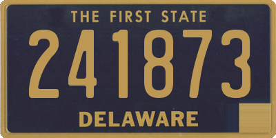 DE license plate 241873