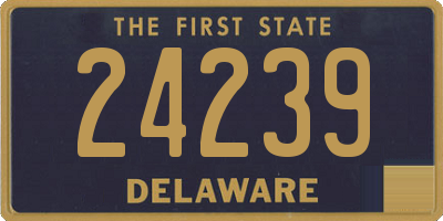 DE license plate 24239