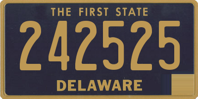 DE license plate 242525