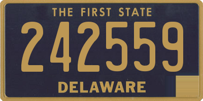 DE license plate 242559
