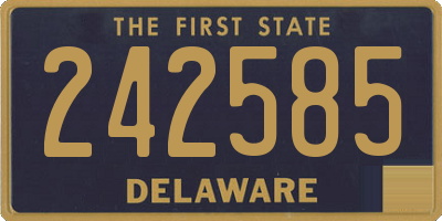 DE license plate 242585