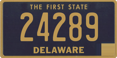 DE license plate 24289