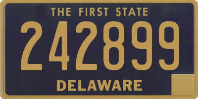 DE license plate 242899