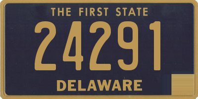 DE license plate 24291