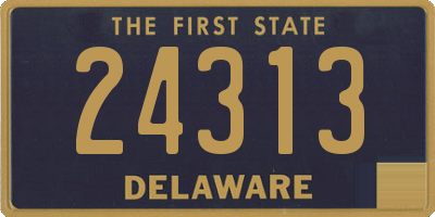 DE license plate 24313