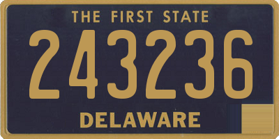 DE license plate 243236