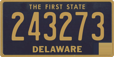 DE license plate 243273