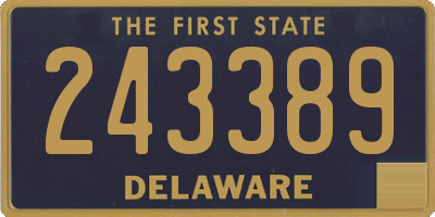 DE license plate 243389
