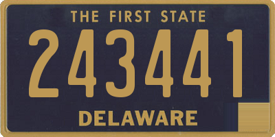 DE license plate 243441