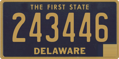 DE license plate 243446