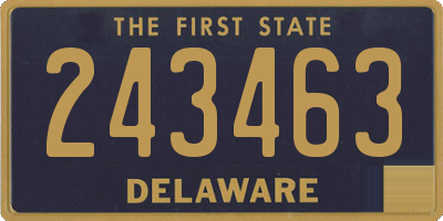 DE license plate 243463