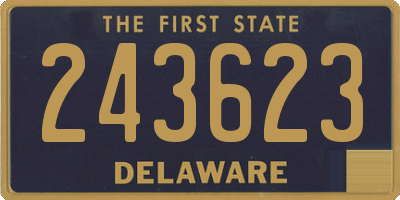 DE license plate 243623