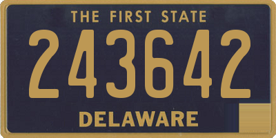 DE license plate 243642