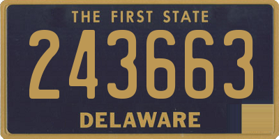 DE license plate 243663