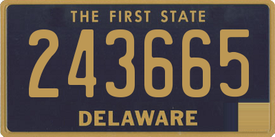 DE license plate 243665