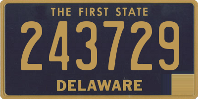 DE license plate 243729