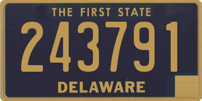 DE license plate 243791