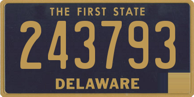 DE license plate 243793
