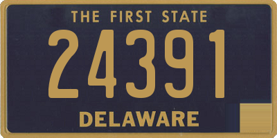 DE license plate 24391