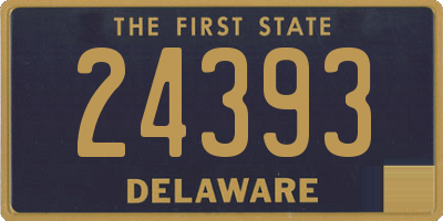 DE license plate 24393