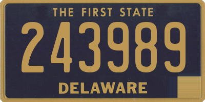 DE license plate 243989