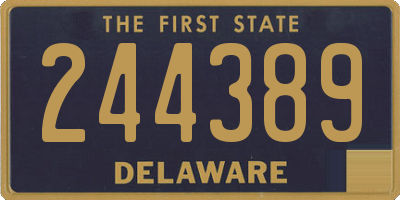 DE license plate 244389