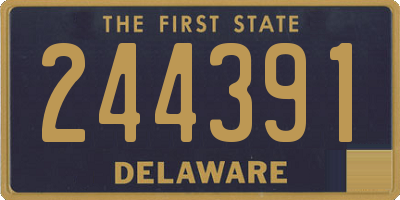 DE license plate 244391