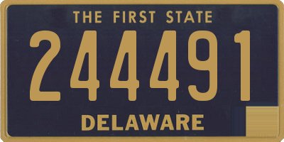 DE license plate 244491