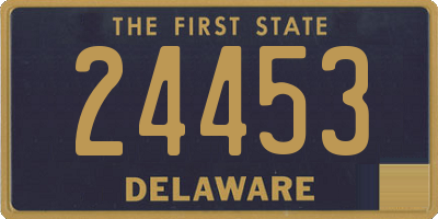 DE license plate 24453