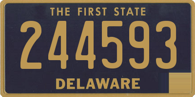 DE license plate 244593
