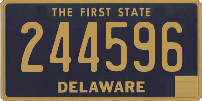 DE license plate 244596