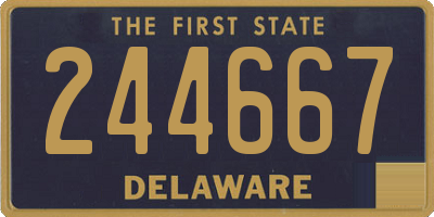 DE license plate 244667