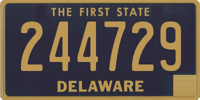 DE license plate 244729