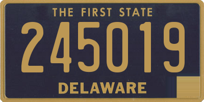 DE license plate 245019