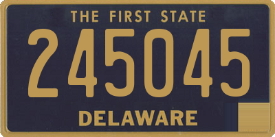 DE license plate 245045