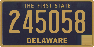 DE license plate 245058