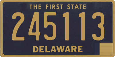 DE license plate 245113