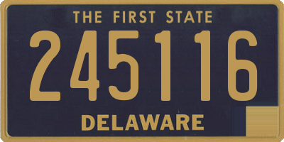 DE license plate 245116