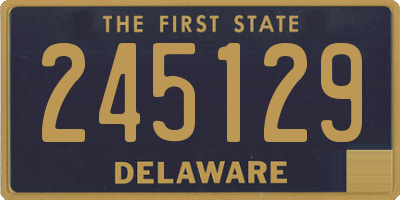 DE license plate 245129