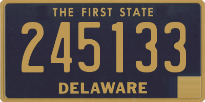 DE license plate 245133