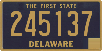 DE license plate 245137