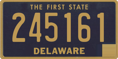 DE license plate 245161